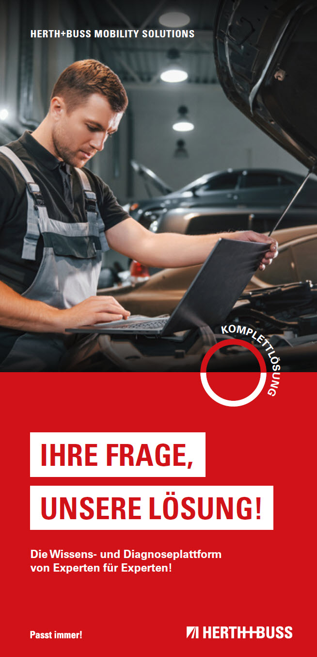 Brosch23DE Find2Fix