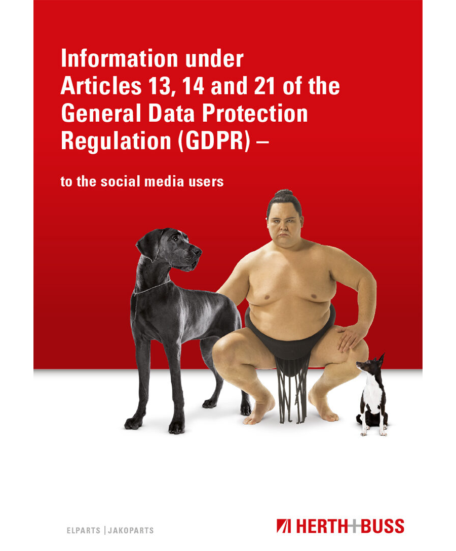 Guideline - General Data Protection Regulation (GDPR) – to the users of our social media channels
